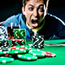 Онлайн казино Kaktuz Casino